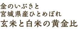 金のいぶきと宮城県産ひとめぼれ玄米と白米の黄金比