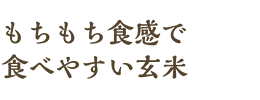 もちもち食感で食べやすい玄米