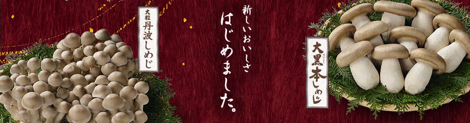 新しいおいしさ、はじめました