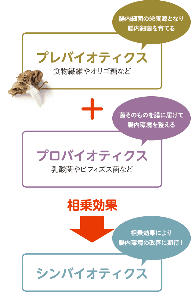 プレバイオティクス+プロバイオティクス相乗効果シンバイオティクス