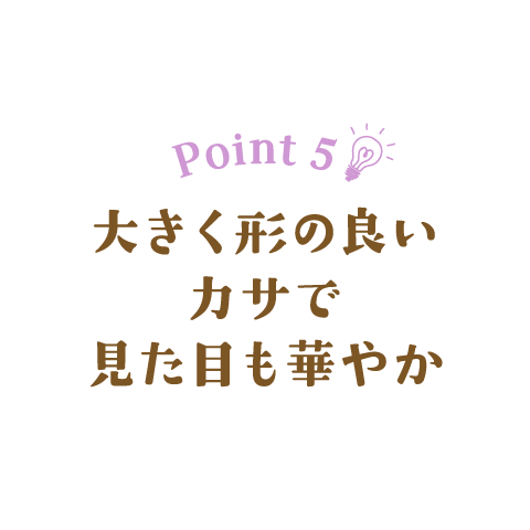 Point 5　大きく形の良いカサで見た目も華やか