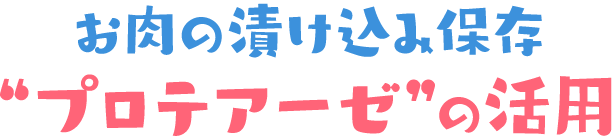 お肉の漬け込み保存 “プロテアーゼ”の活用