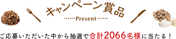 キャンペーン賞品