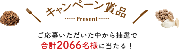 キャンペーン賞品