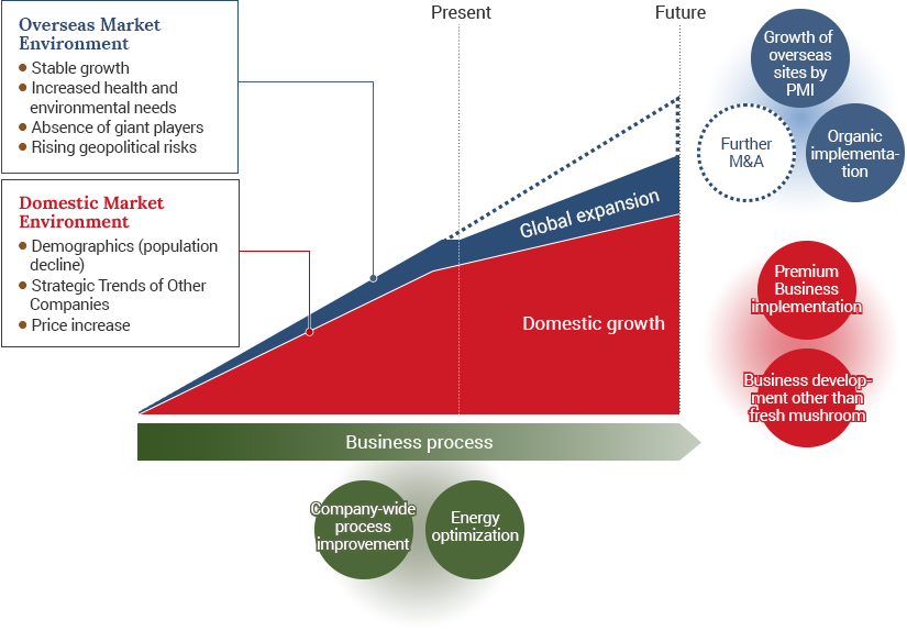Image of the medium- to long-term growth roadmap in line with the basic strategies