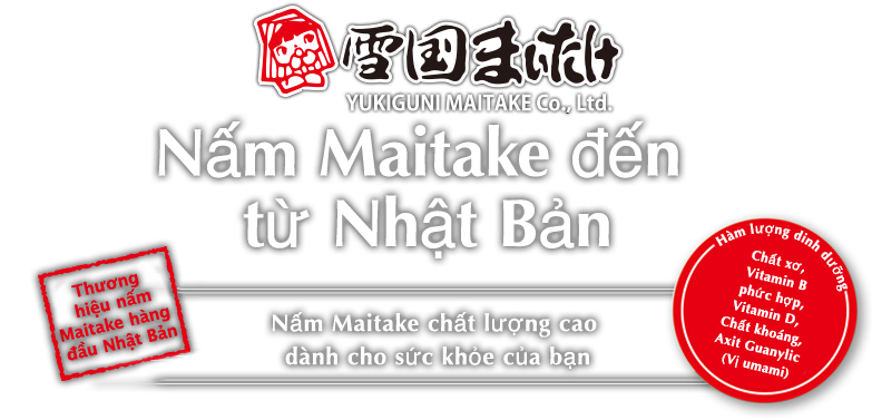 Nấm Maitake đến từ Nhật Bản. Nấm Maitake chất lượng cao dành cho sức khỏe của bạn