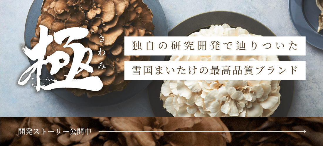 極み　独自の研究開発で辿りついた雪国まいたけの最高品質ブランド　開発ストーリー公開中