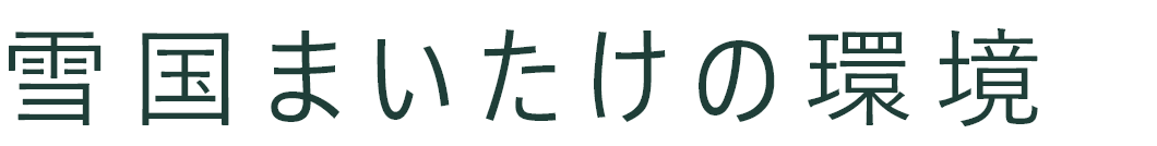 雪国まいたけの環境