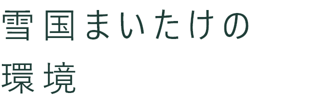 雪国まいたけの環境